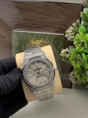 Audemars Piguet Timepiece ( Royal Oak Collection )