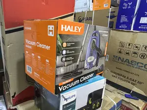 Quickly Remove Creases Haley Garmet Cleaner