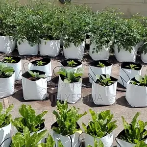 Grow Bags For Greenhouse And Garden