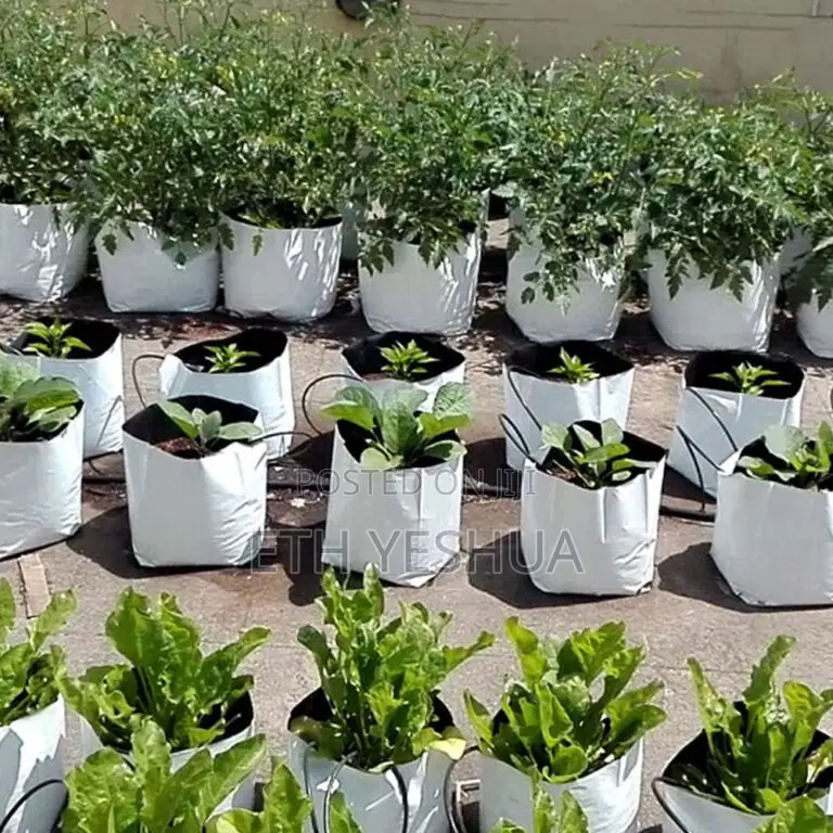 Grow Bags For Greenhouse And Garden