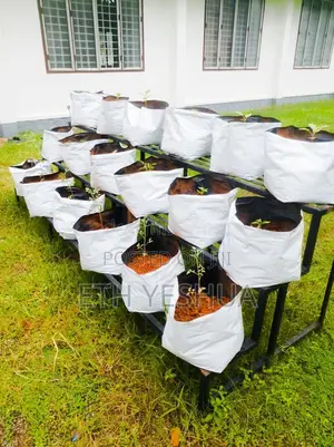 Grow Bags For Greenhouse And Garden