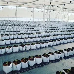 Grow Bags For Greenhouse And Garden