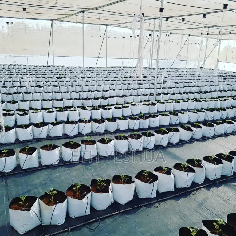 Grow Bags For Greenhouse And Garden