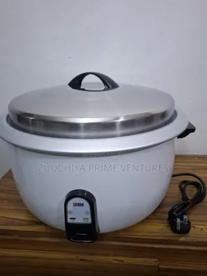 10.L Triton Commercial Rice Cooker From Uk 