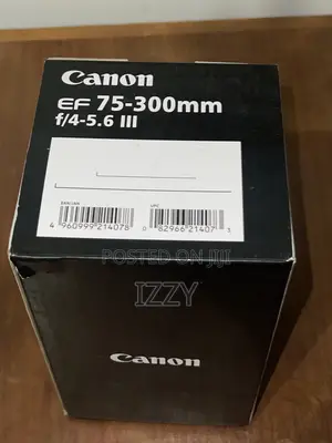 Canon 75-300mm Lens