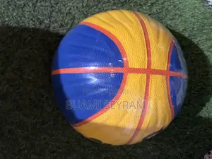 Wilson Basketball