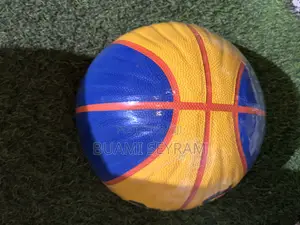 Wilson Basketball