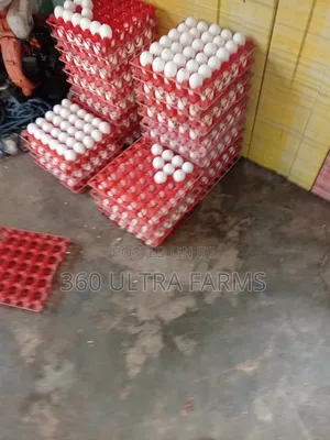 Plastic Egg Crate