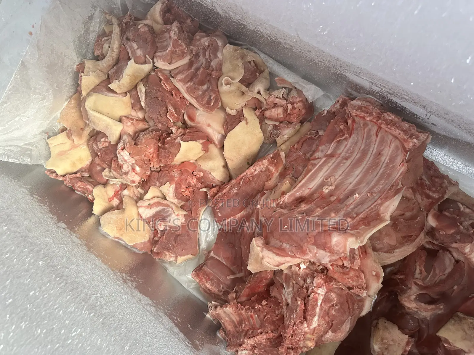 Xmas Pork Pig
