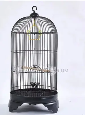 Conical Metallic Bird Cage