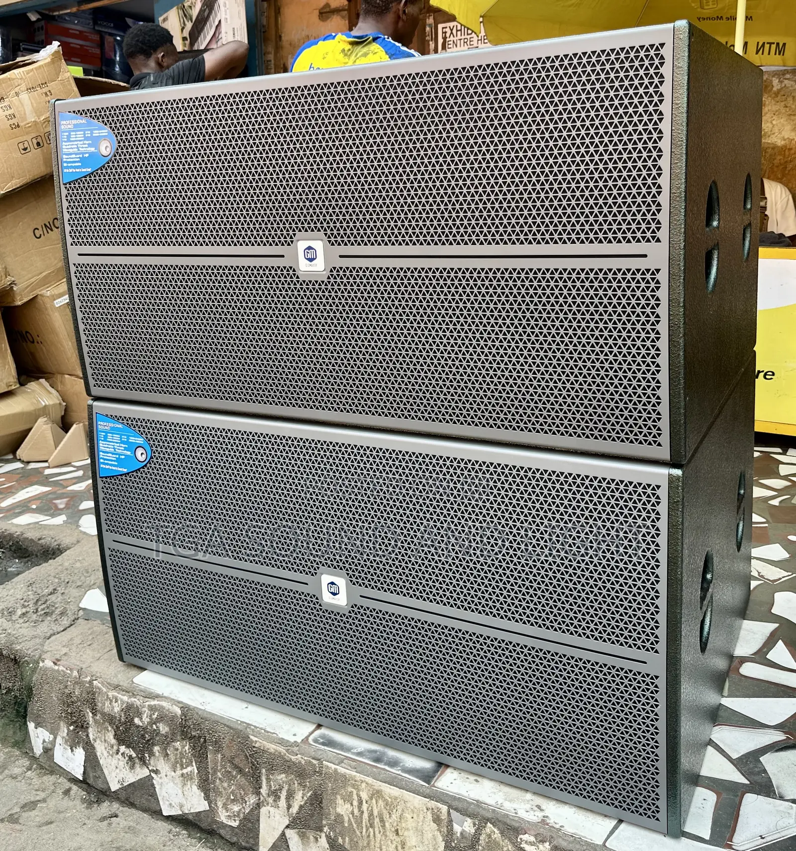 Gigmaker Dm218 Dual Bass Speakers
