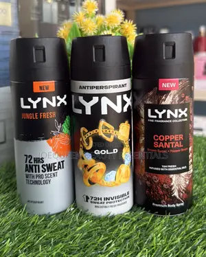 Lynx 72h Body Spray