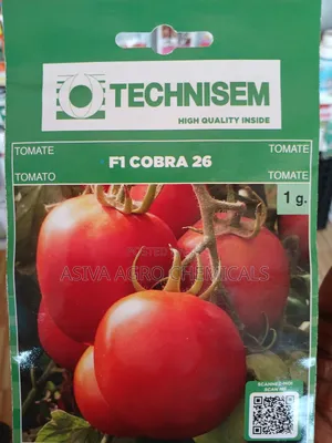 Cobra 26 1gram Tomato Seeds