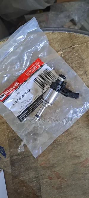 Ford F150 2015 Fuel Injectors