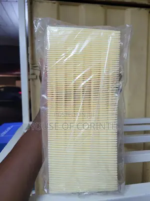 Air Filter(Pair)G-Wagon W463, C-Class W205,Glc X253, S-Class W222 C217