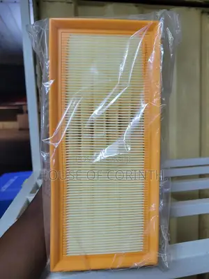 Air Filter(Pair)G-Wagon W463, C-Class W205,Glc X253, S-Class W222 C217