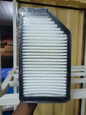 Air Filter - Accent, Veloster, Rio, Soul