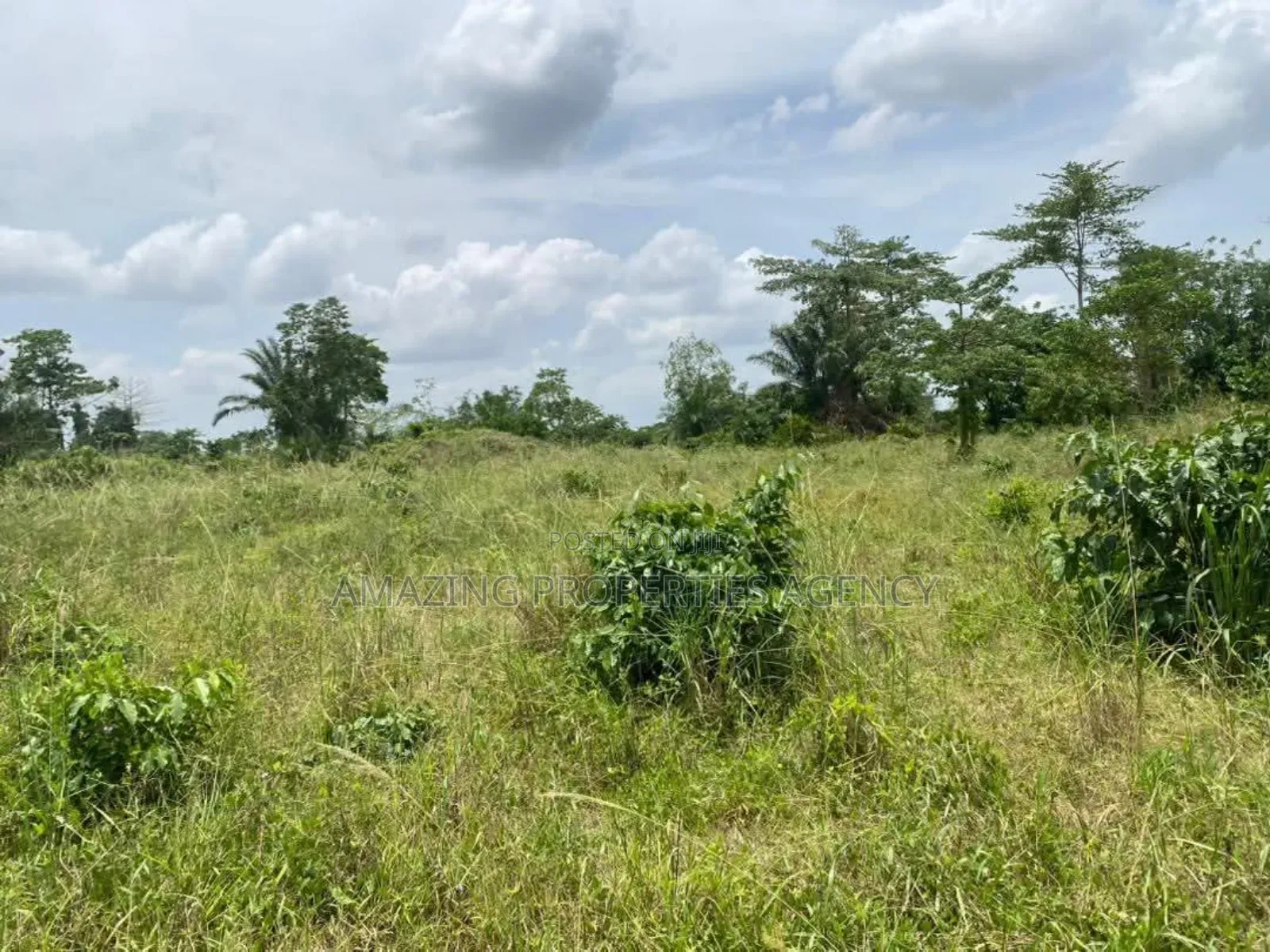 15 Acres Land for Sale* *Location*: Tema Industrial Area,