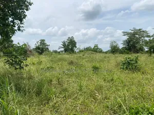 15 Acres Land for Sale* *Location*: Tema Industrial Area,