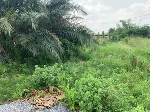1 Acre of Prime Area Land Available for Sale at Tema Close to the Port