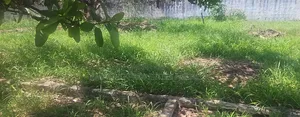 0.666 Acre Land Corner Plot Along Main Ringroad Kanda Nima Highway