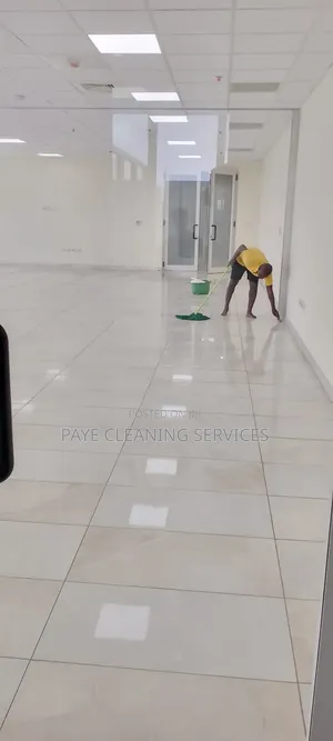 Paye Cleaning Services