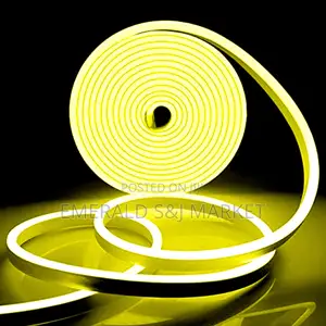 Neon RGB Light