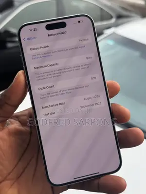 Apple iPhone 15 Pro Max 256 GB Silver