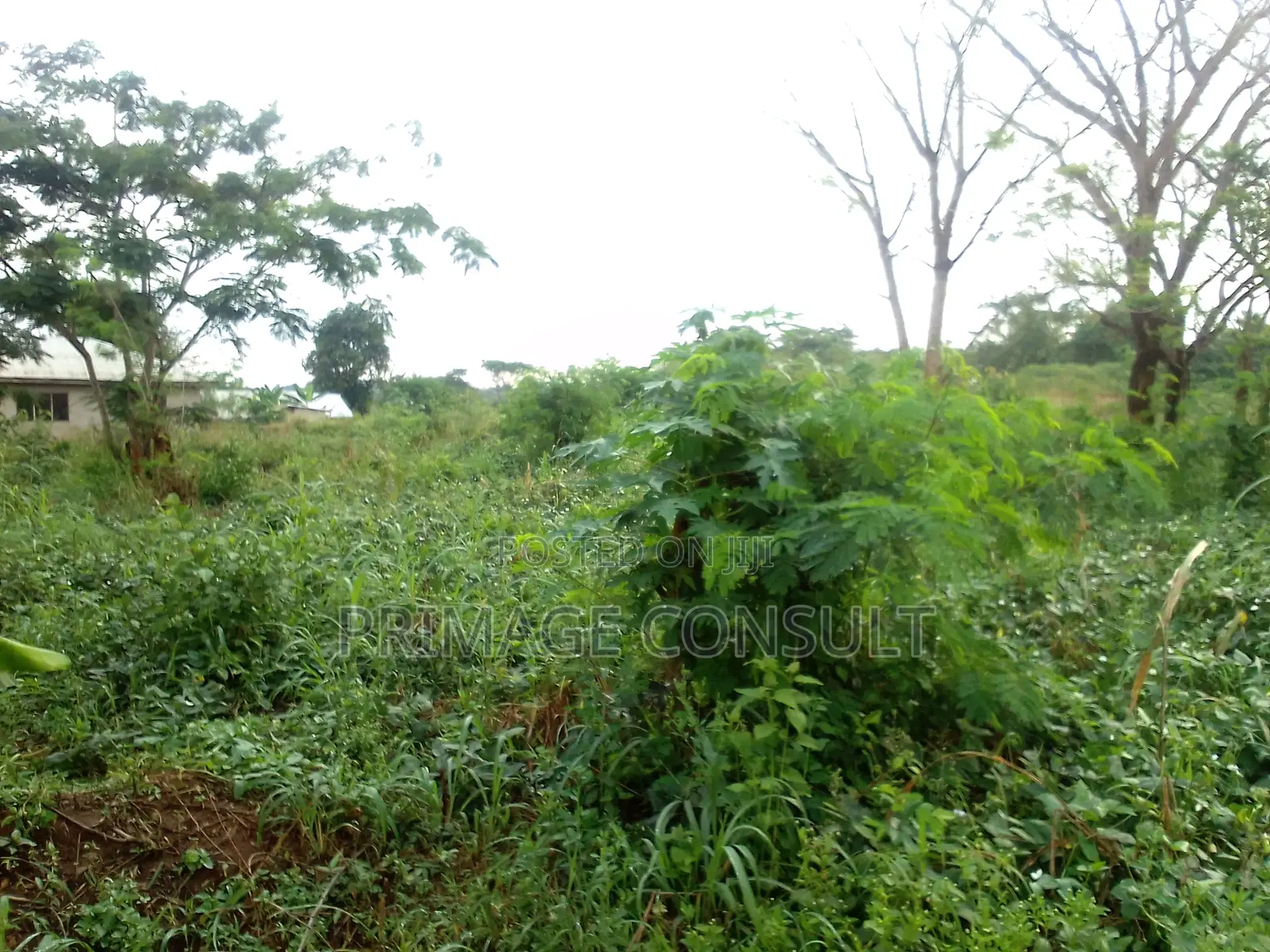Plot of Land in Sunyani Mantukwa for Sale