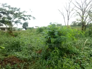 Plot of Land in Sunyani Mantukwa for Sale