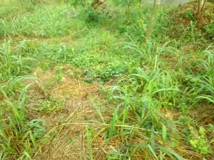 Plot of Land in Sunyani Mantukwa for Sale