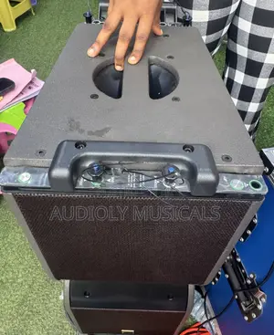 12inches Kara Line Arrays Speaker