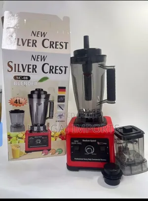 4l Silver Crest 2 in 1 Blender