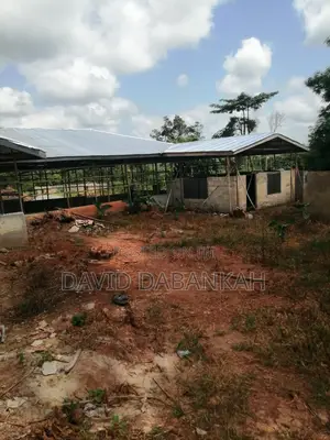 Poultry Structure and Fish Pond