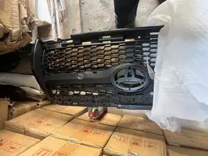 Rav 4 2010 LMT Grille