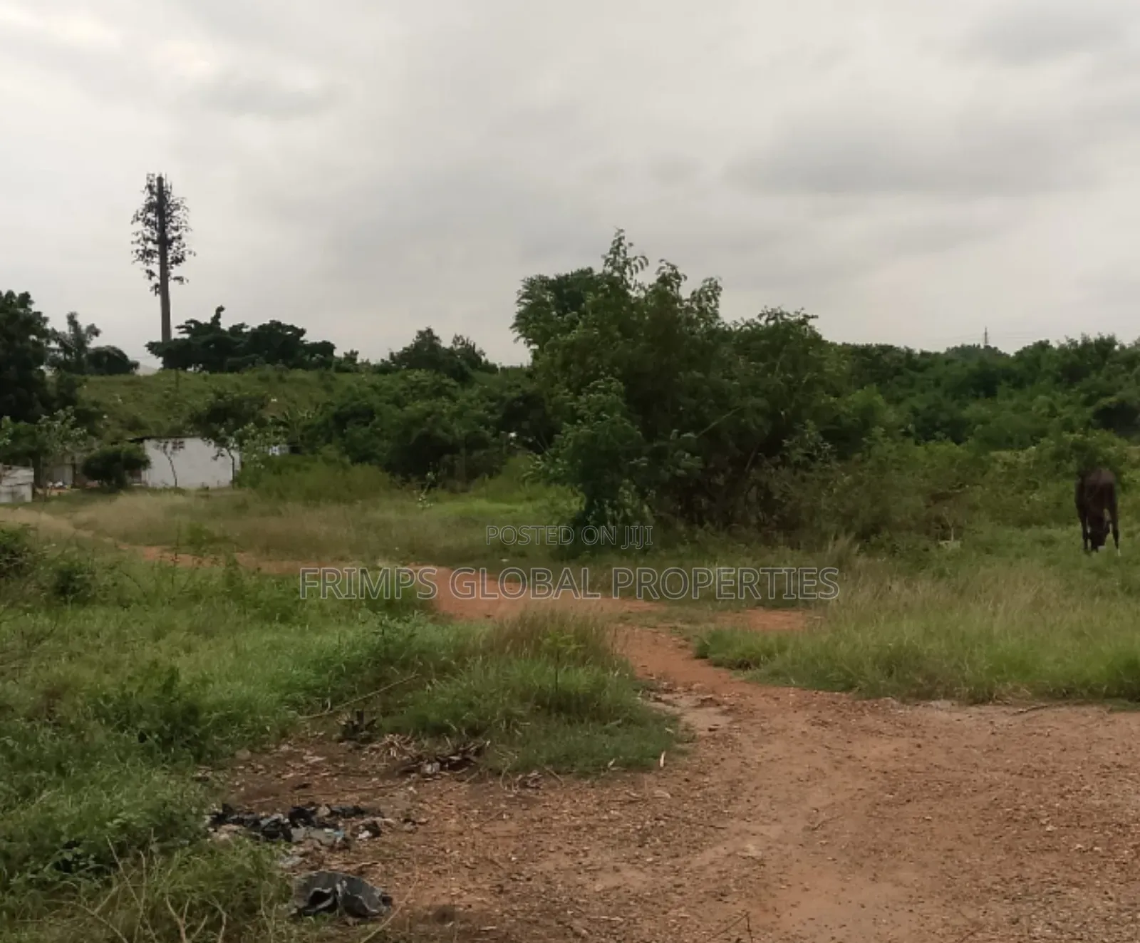 4.65 Acres of Land for Sale in Airport. Just by the Roadside. Msc.