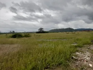 Plots of Land
