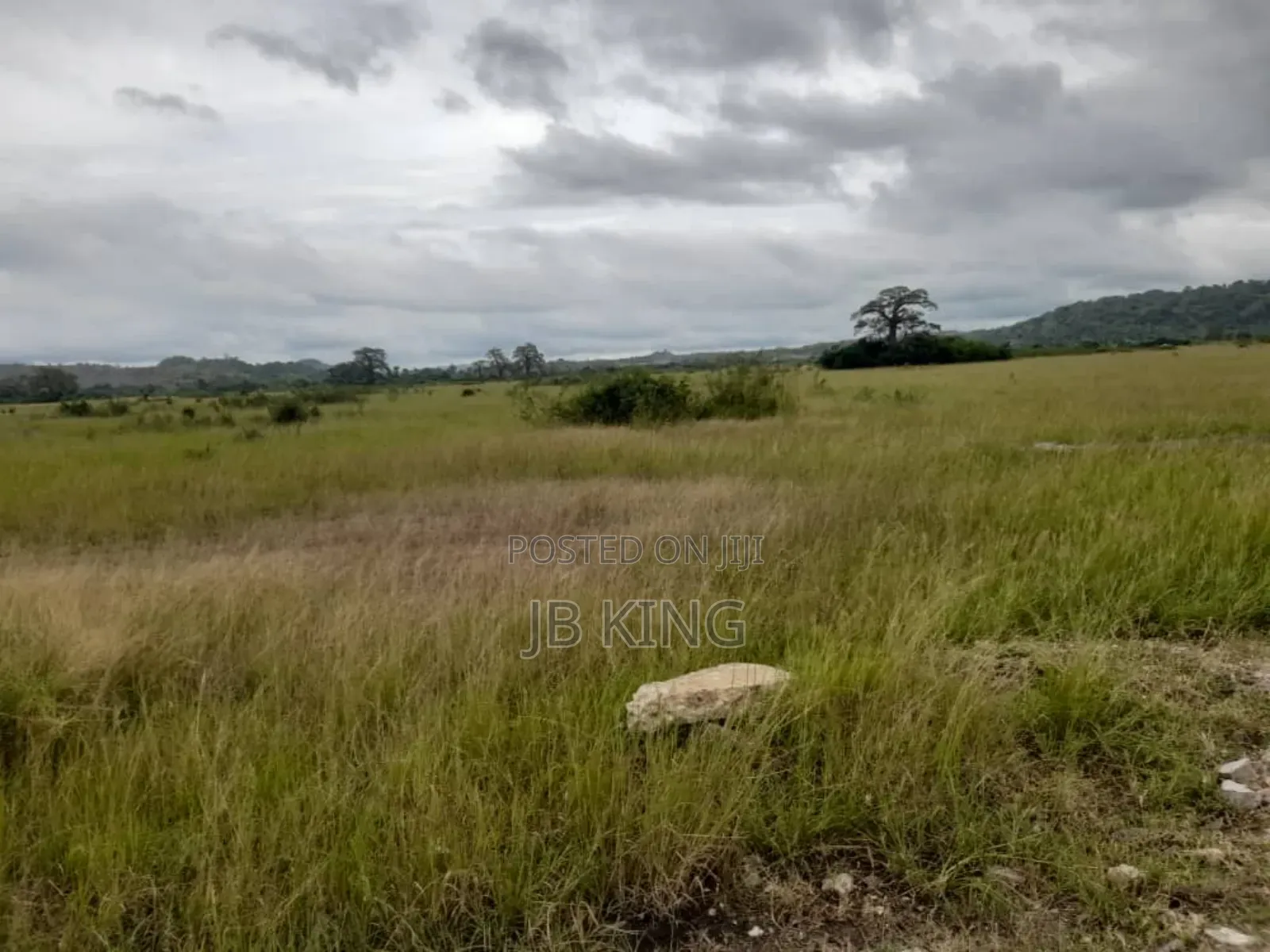 Plots of Land