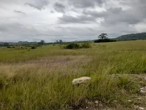 Plots of Land