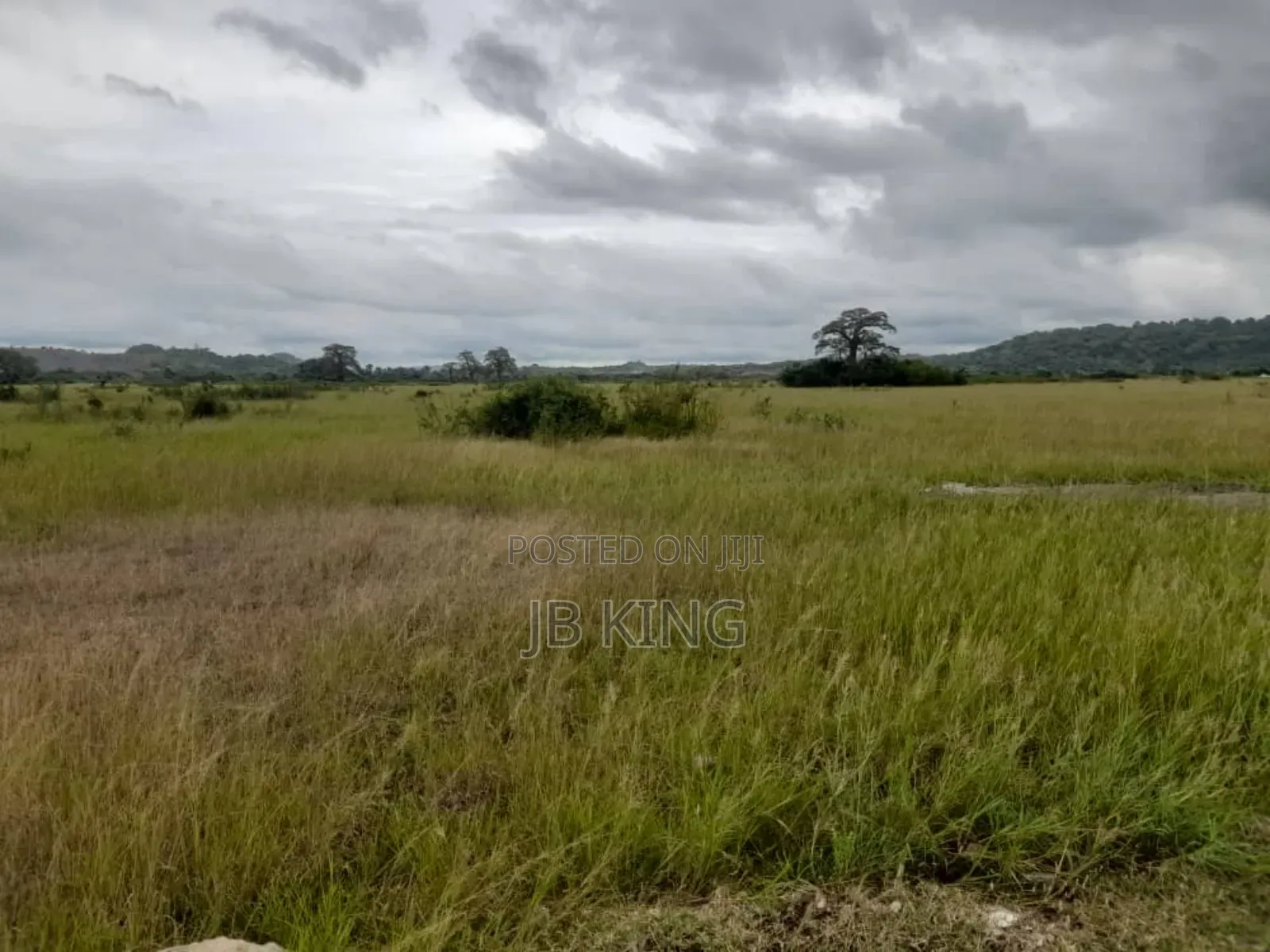 Plots of Land
