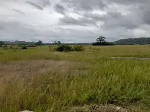 Plots of Land
