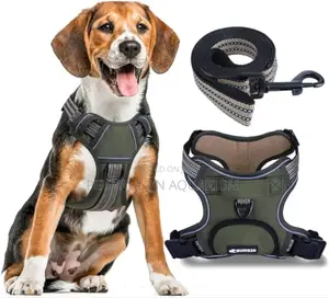 Bunty Harness With Leash for Dogs