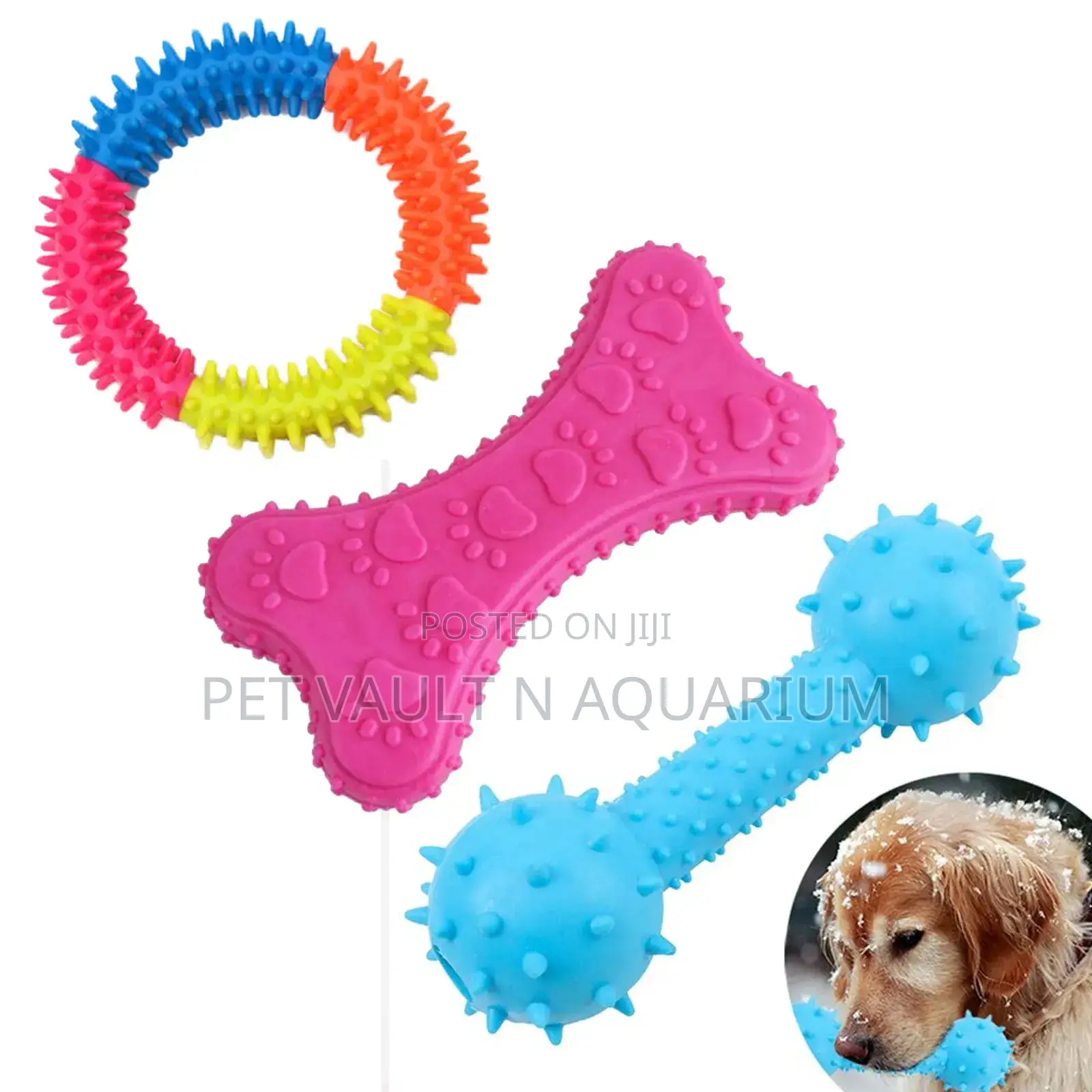 Play Toys for Dogs