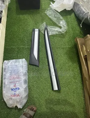Mitsubishi Outlander 2016-2017-2018-2019-2020-2021 Door Moulding