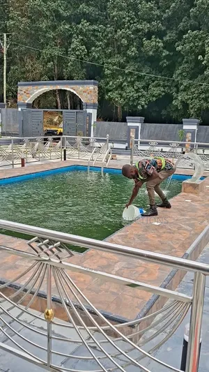 Pool Chemicals Expert, Cleaning/Vacuuming