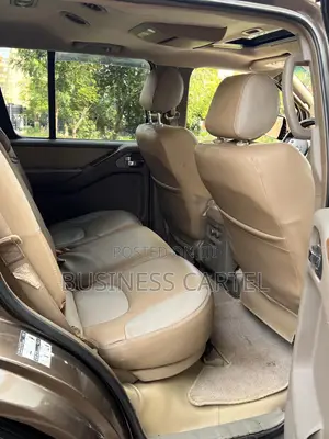 Nissan Pathfinder 2004 Brown