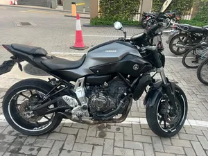 Yamaha 2019 Silver