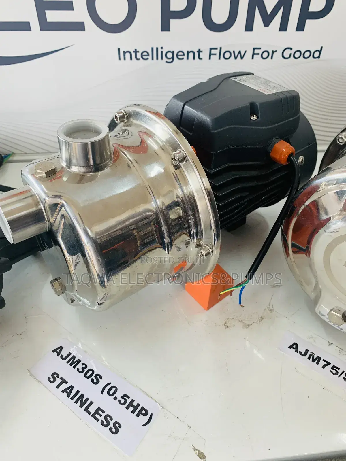 0.37kw /300w_0.5hp Water Pump Leo Stainless