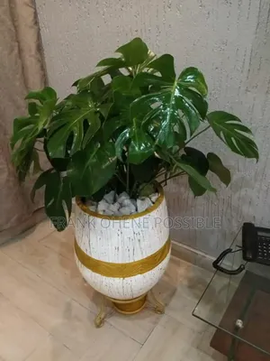 Nature's Friend
