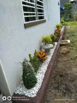 Nature's Friend